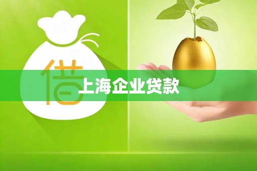 上海企业贷款
